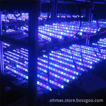 LED Indoor Plant Grow Lights, R/B/W for Leafy Vegetables in Greenhouse, Hydroponics